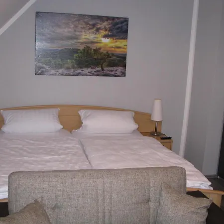 Hotel & Gasthaus „Alte Schmiede“ מלון