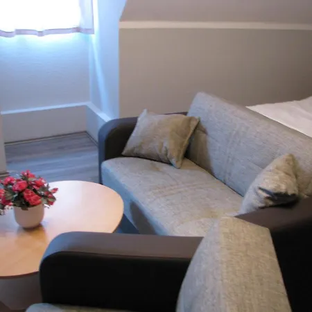 Hotel & Gasthaus „Alte Schmiede“ מלון