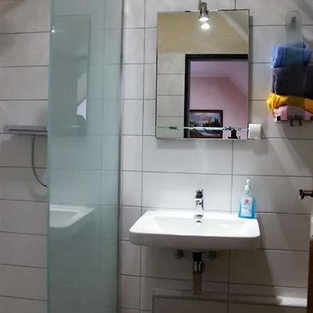 Hotel Hotel Und Gasthaus Alte Schmiede 3*