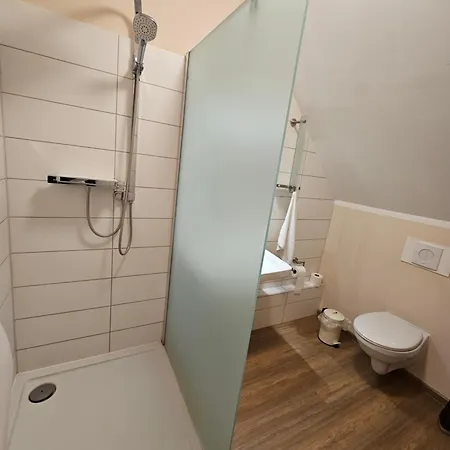 מלון Hotel & Gasthaus „Alte Schmiede“