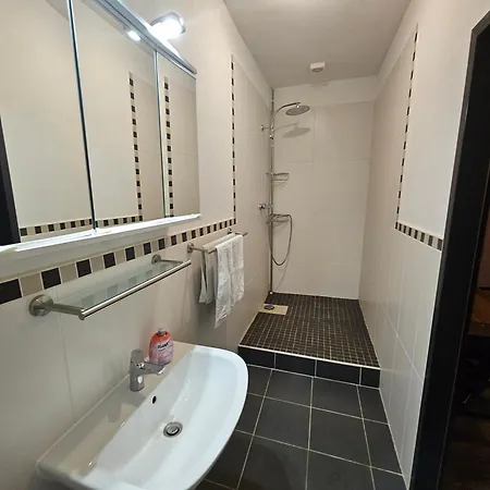 Hotel & Gasthaus „Alte Schmiede“ Hotel 3*